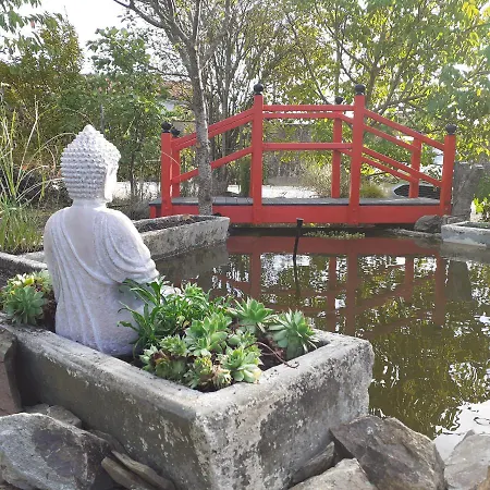 Chez Vous Chez Nous *