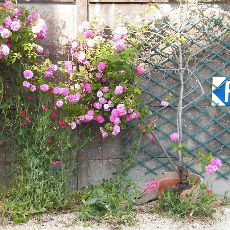 Chez Vous Chez Nous *