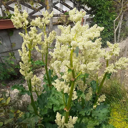 Chez Vous Chez Nous Privat bolig *