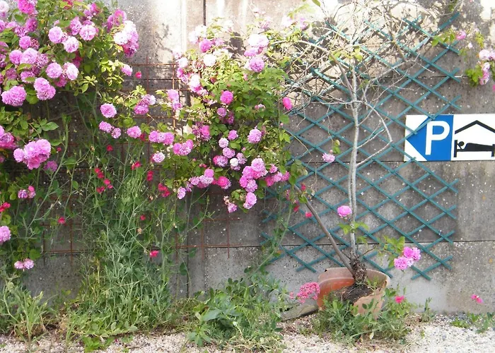 Chez Vous Chez Nous *