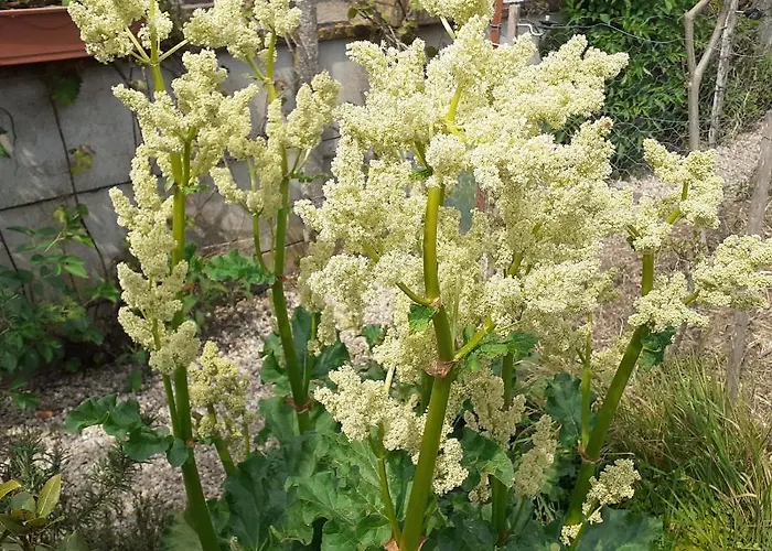 Chez Vous Chez Nous Ubytování v soukromí *